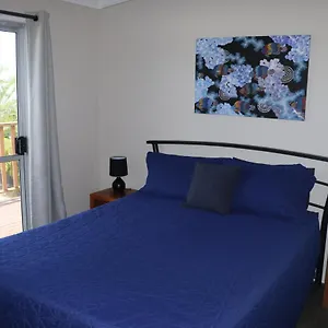 Pippies Beachhouse Backpackers Hostal